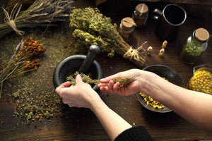 What is herbalism?